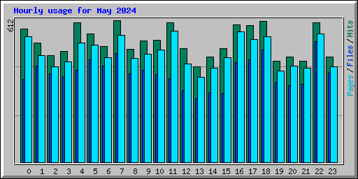 Hourly usage for May 2024