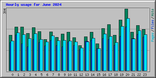 Hourly usage for June 2024