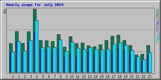 Hourly usage for July 2024